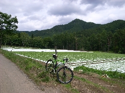 R0011828.JPG
