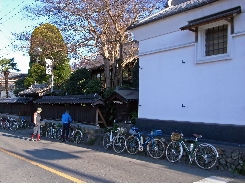 R0012498.1.jpg